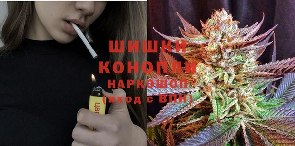 дживик Каменск-Шахтинский